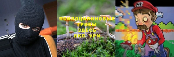 гидра Елизово
