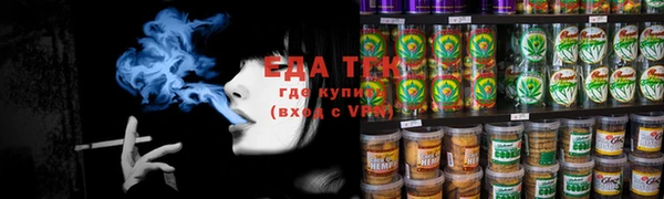 меф Ельня