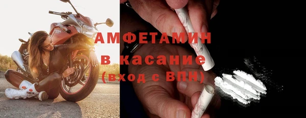 гидра Елизово