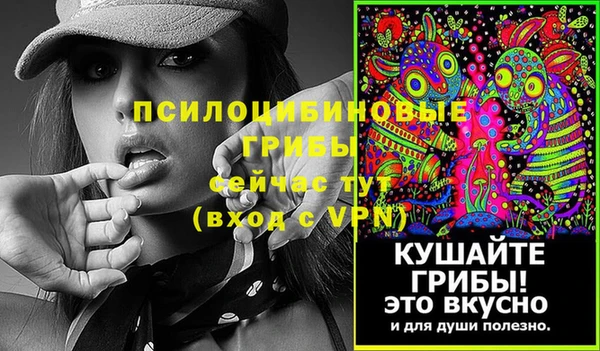 гидра Елизово