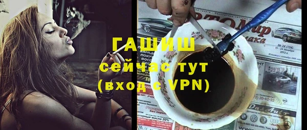 гидра Елизово