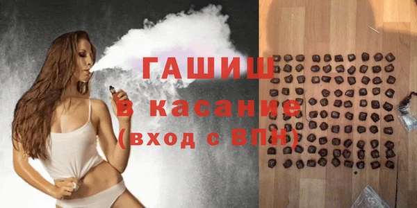 сатива Дмитровск