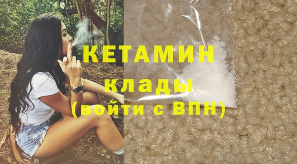 гидра Елизово