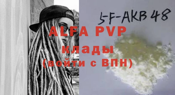 гидра Елизово