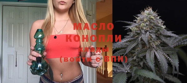 меф Ельня